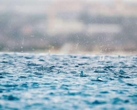 closeup photography of water drops on body of water