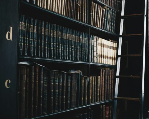 black wooden d and c bookshelf