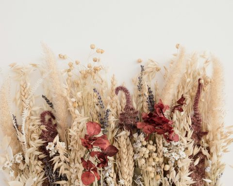 brown fern