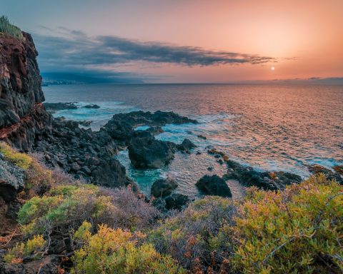 rock formation and shrubs beside sea at daytime