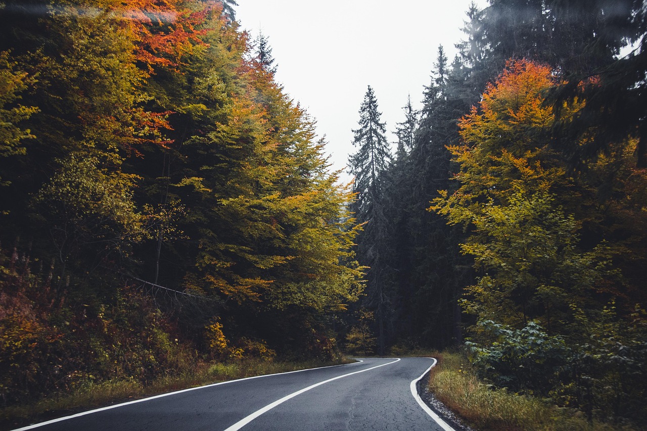 Een verlaten highway door het herfstlandschap van de Yukon, omringd door bomen in oranje en gele tinten